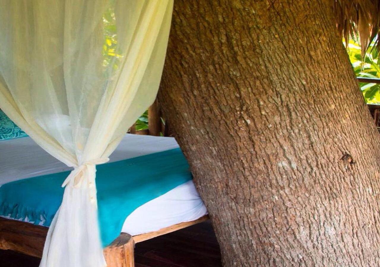 Monte Verde Hostal Эль-Саино Экстерьер фото